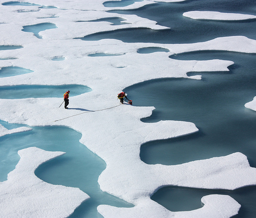 Как микробы выживают подо льдами Антарктиды?
