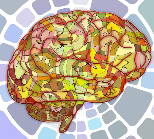 Нейроэкономика: мозг принимает решения?