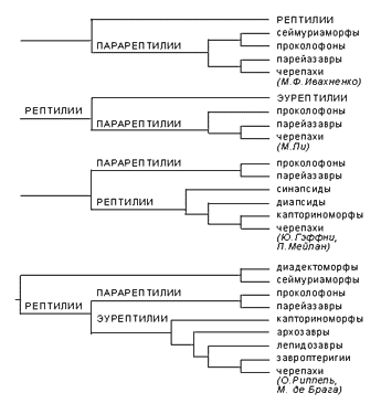 Лонгриды: Загадка происхождения черепах