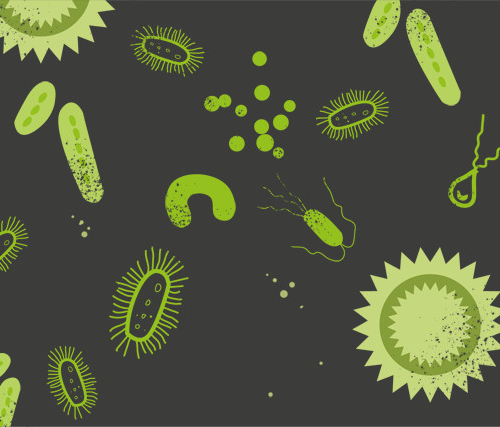Тезаурус: Войны бактерий