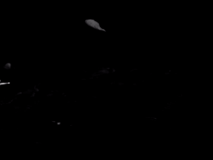 От редакции: Как летают растения