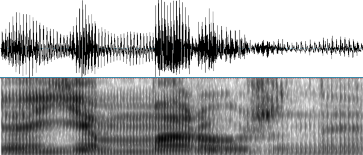 Осциллограмма и спектрограмма. Звуковая спектрограмма. Спектрограмма аналогового fm сигнала. Спектрограмма русских звуков. Звук поменялся местами