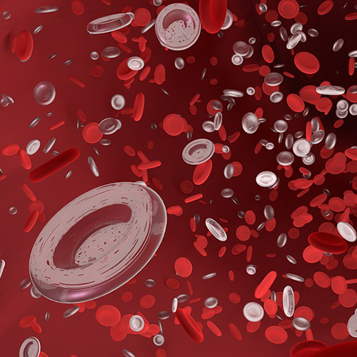 От анемии до тромбоцитов: 5 фактов о крови