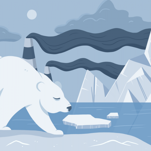 Под созвездием Большой Медведицы: что вы знаете об Арктике?