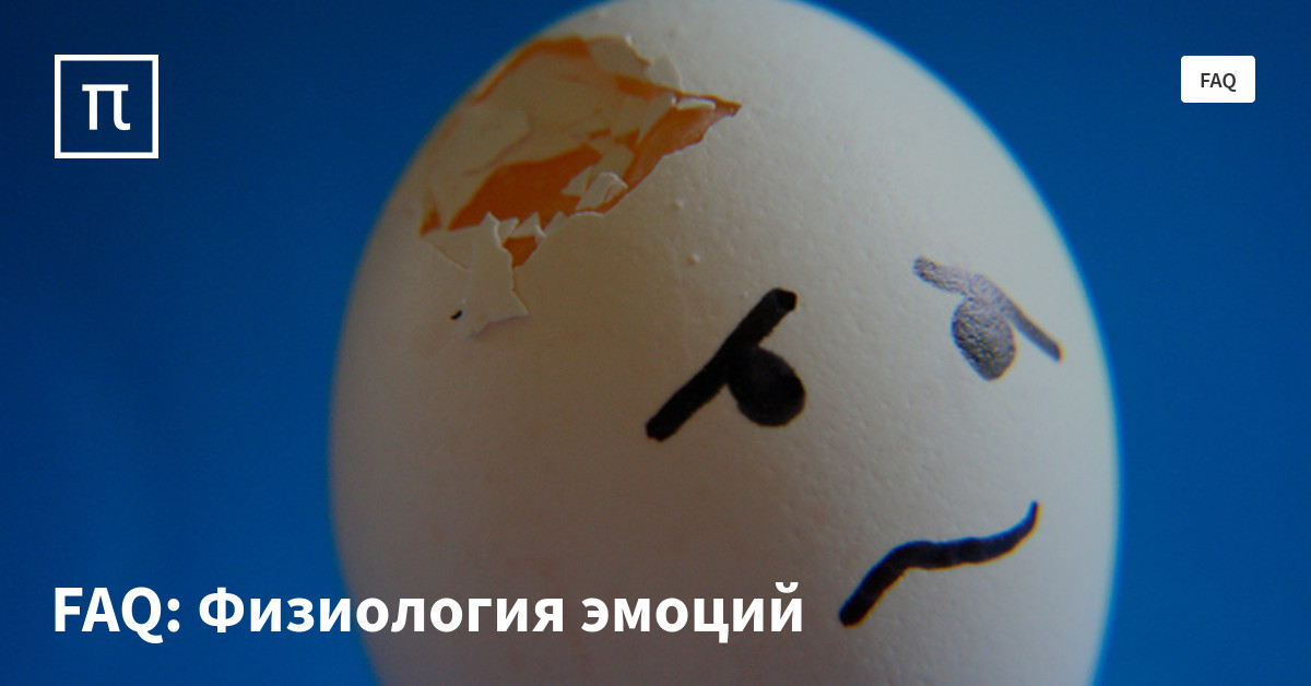 FAQ: Физиология эмоций — все самое интересное на ПостНауке