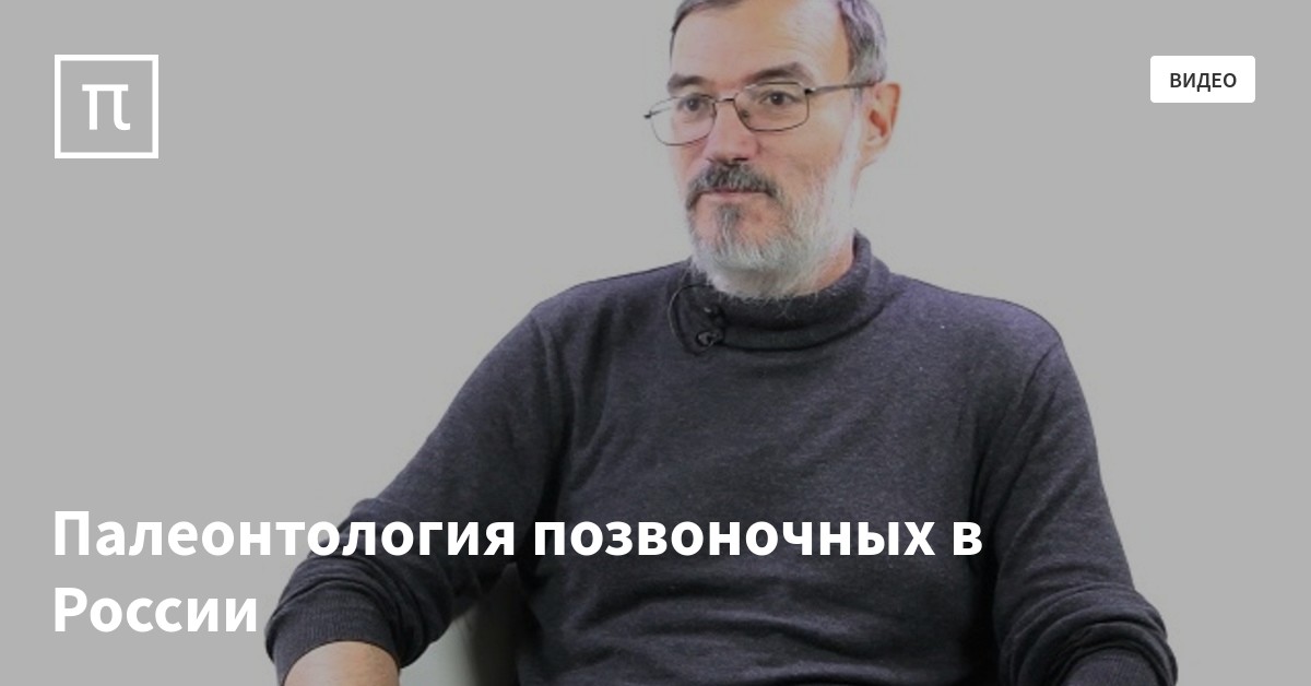 Палеонтология позвоночных в России — все самое интересное на ПостНауке