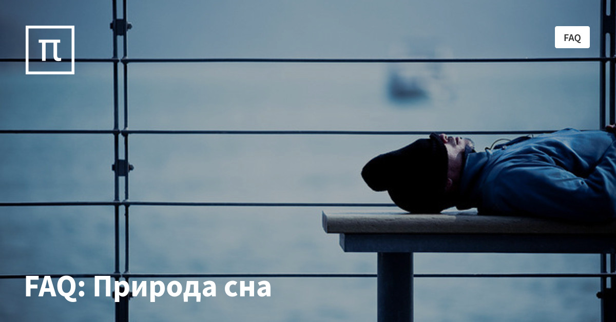 FAQ: Природа сна — все самое интересное на ПостНауке