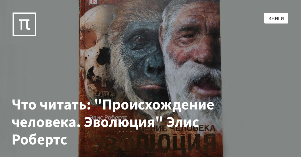 дэн браун новая книга 2020. происхождение читать. происхождение читать. происхождение дэн браун книга. эрих нойманн происхождение и развитие сознания.