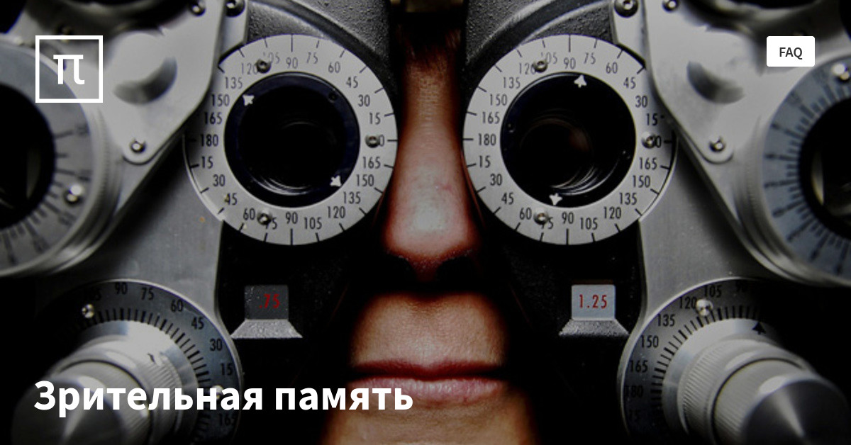 Зрительная память — все самое интересное на ПостНауке