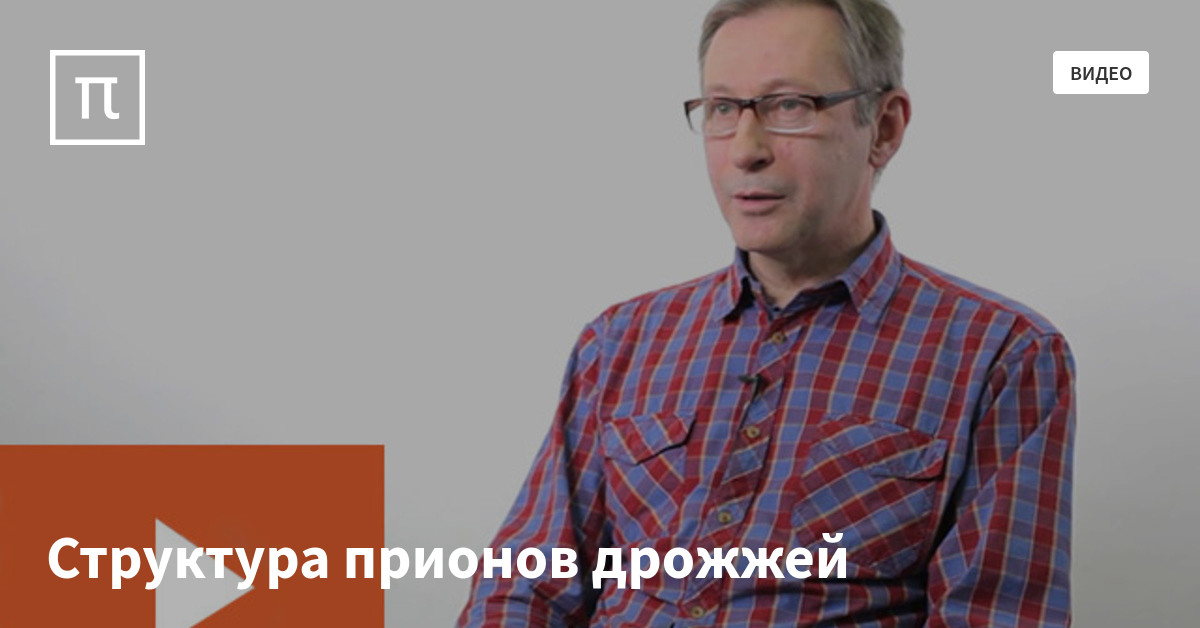 Структура прионов дрожжей — все самое интересное на ПостНауке