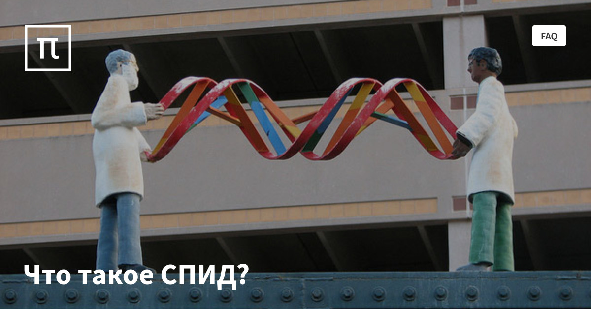 Что такое СПИД? — все самое интересное на ПостНауке