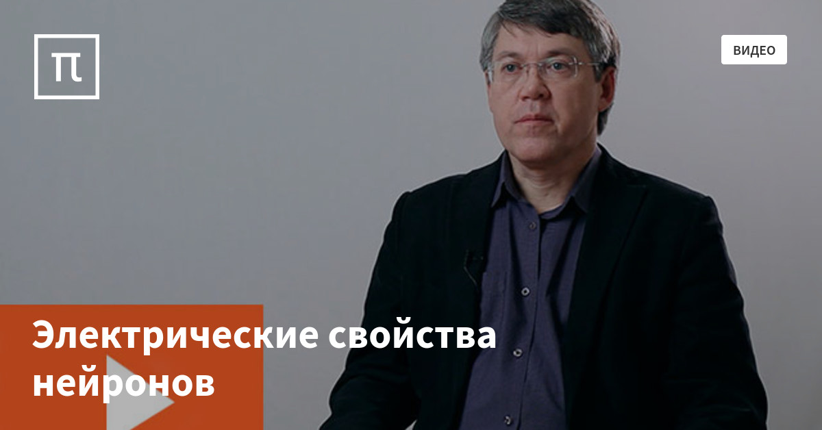 Электрические свойства нейронов — все самое интересное на ПостНауке