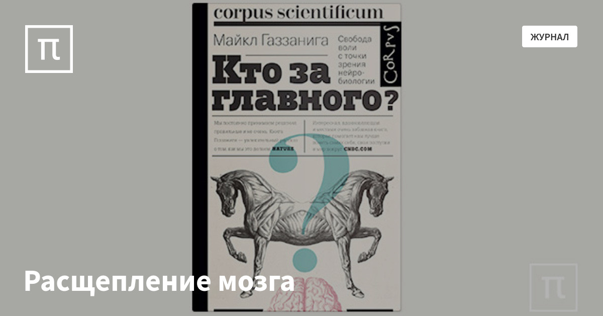 Расщепление мозга — все самое интересное на ПостНауке