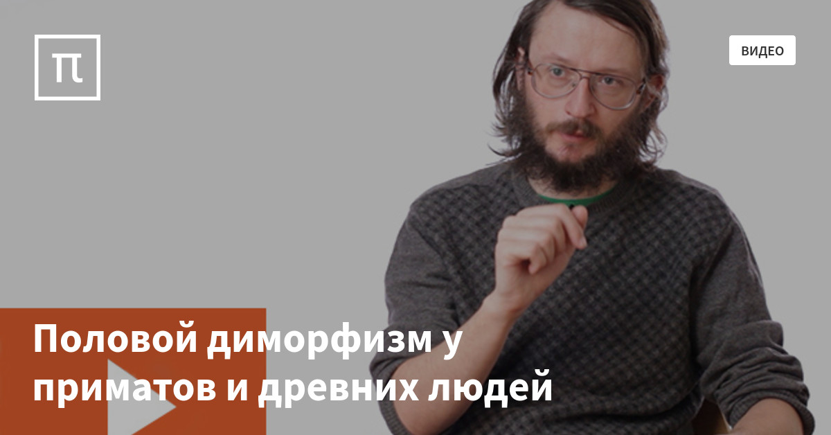 Половой диморфизм у приматов и древних людей — все самое интересное на ...