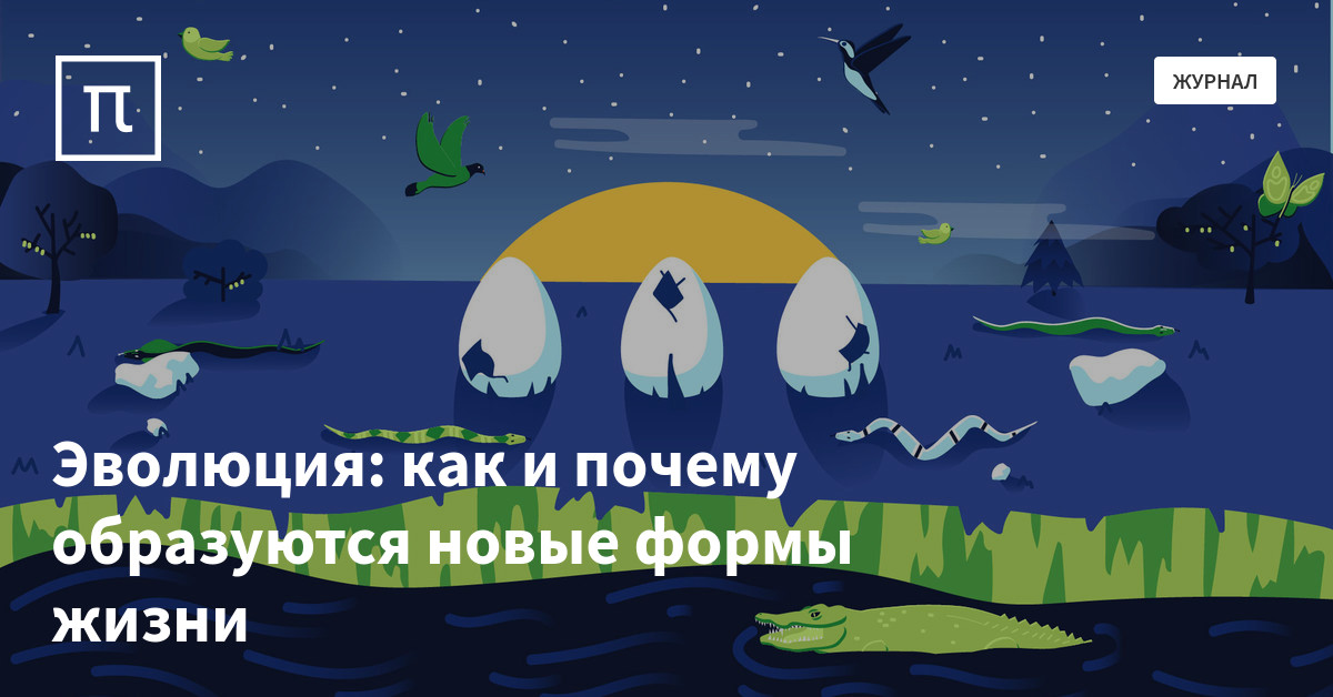 Эволюция: как и почему образуются новые формы жизни — все самое ...