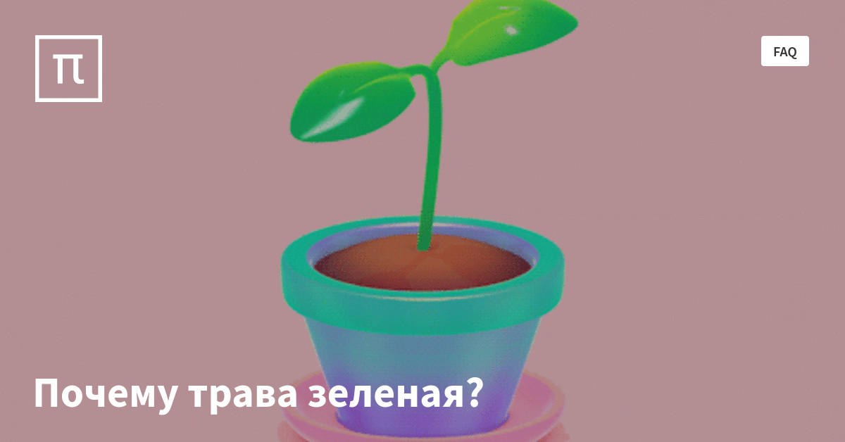 Почему трава зеленая