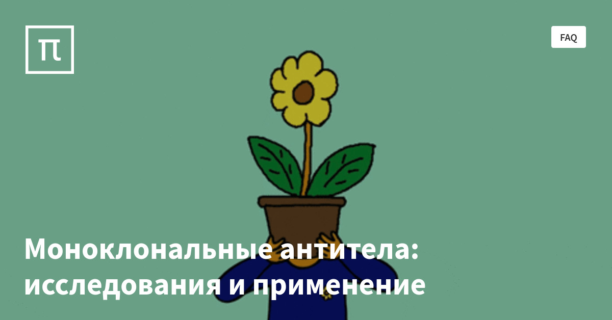 Моноклональные антитела: исследования и применение — все самое ...