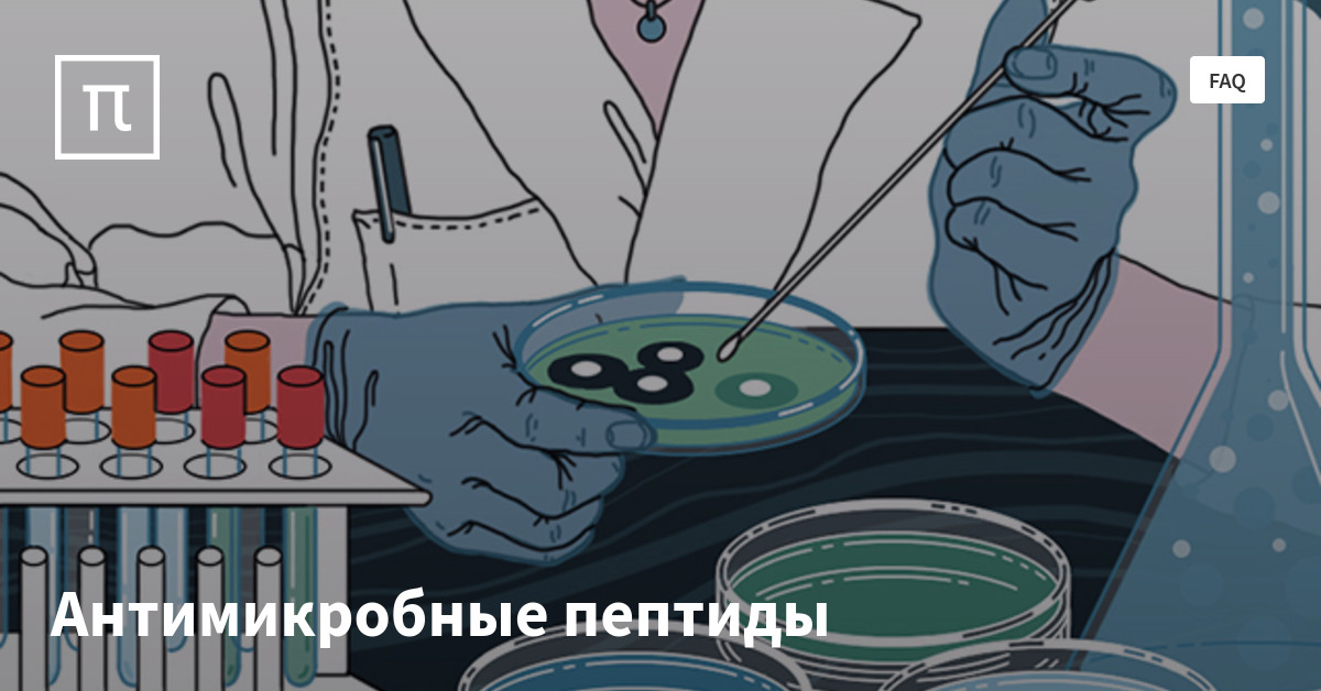 функции антимикробных пептидов