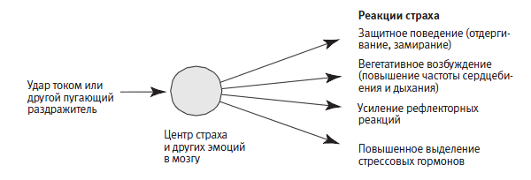 Лонгриды: Главы | О мышах, людях и психических заболеваниях