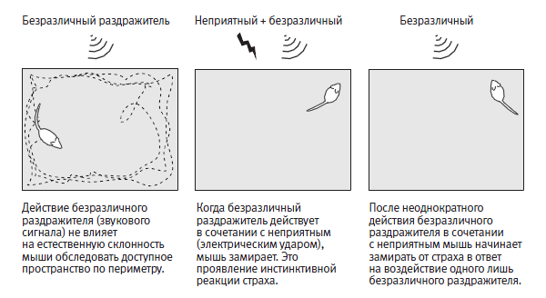 Лонгриды: Главы | О мышах, людях и психических заболеваниях