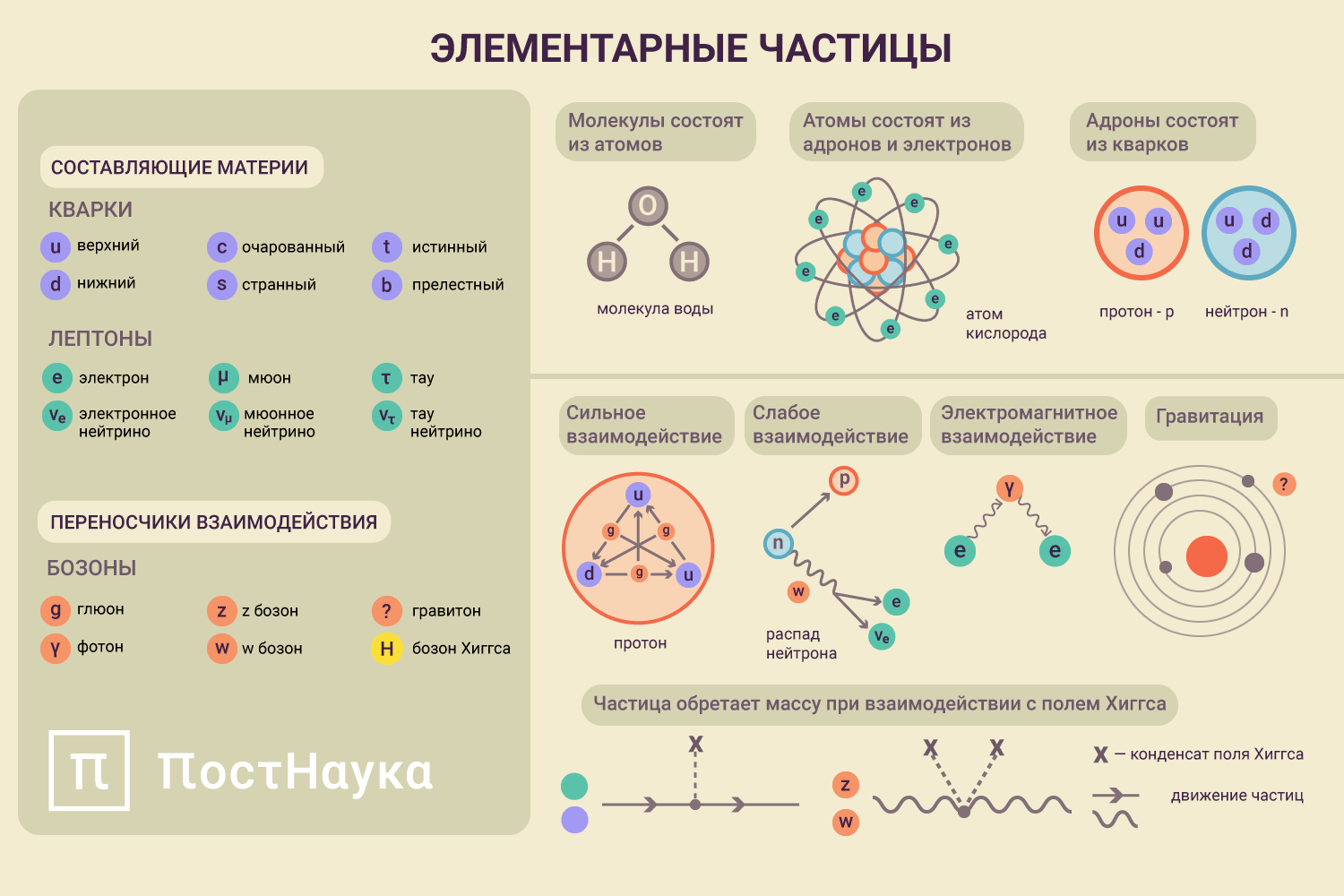 античастицы стандартная модель