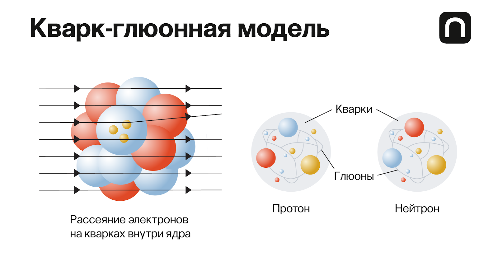 адроны как выглядит