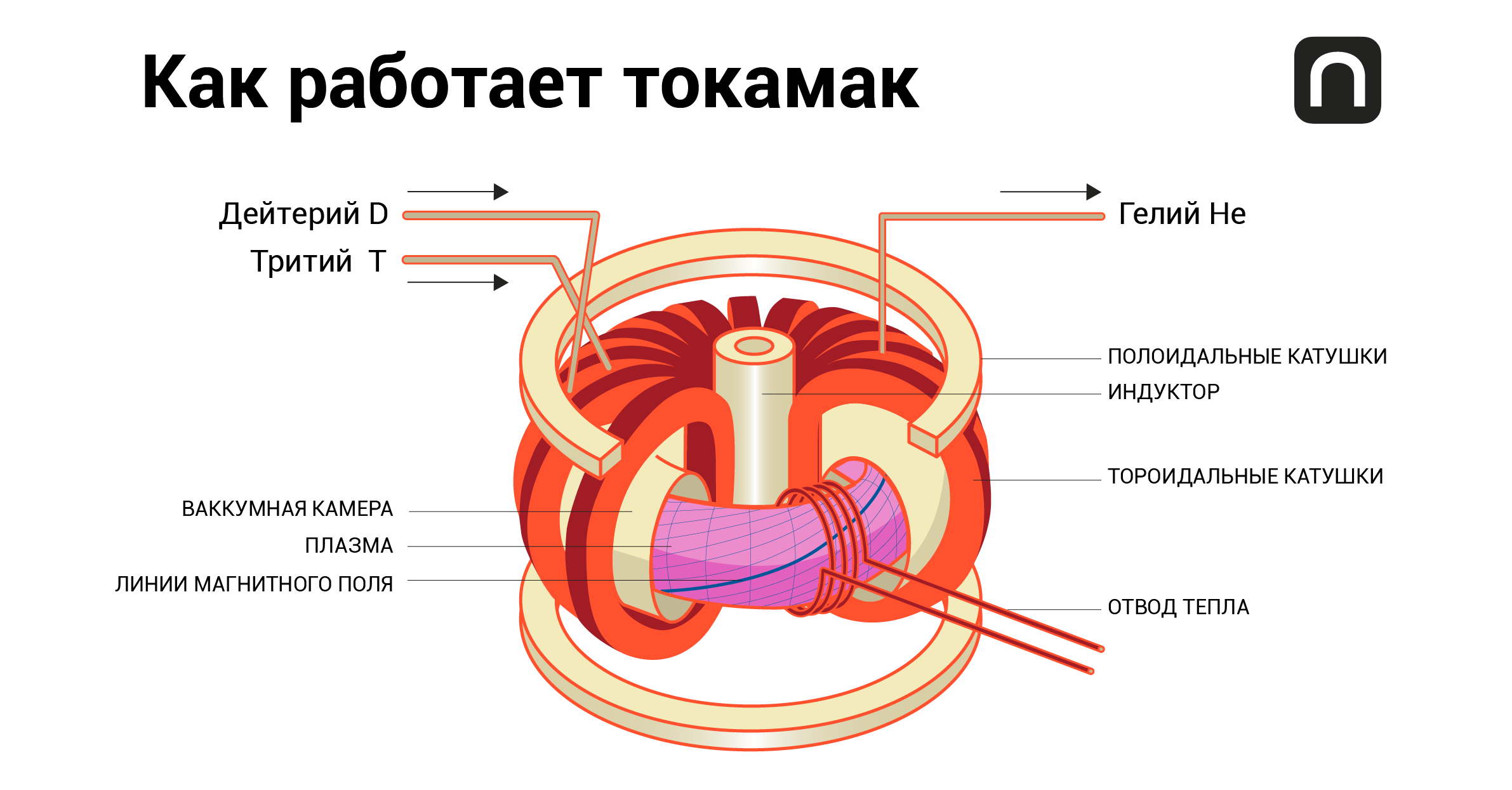 Ебанул Реактор