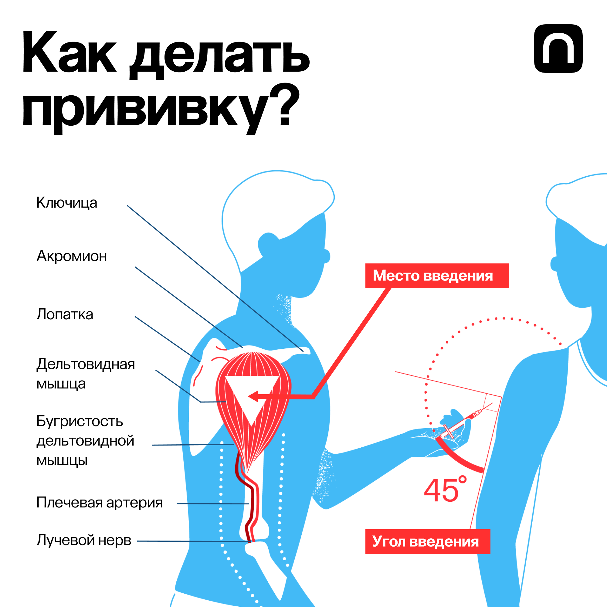 В какие места ставят прививки. Зачем делать прививку. Какие прививки делают в бедро. Какие вакцины делаются в бедро ребенку.