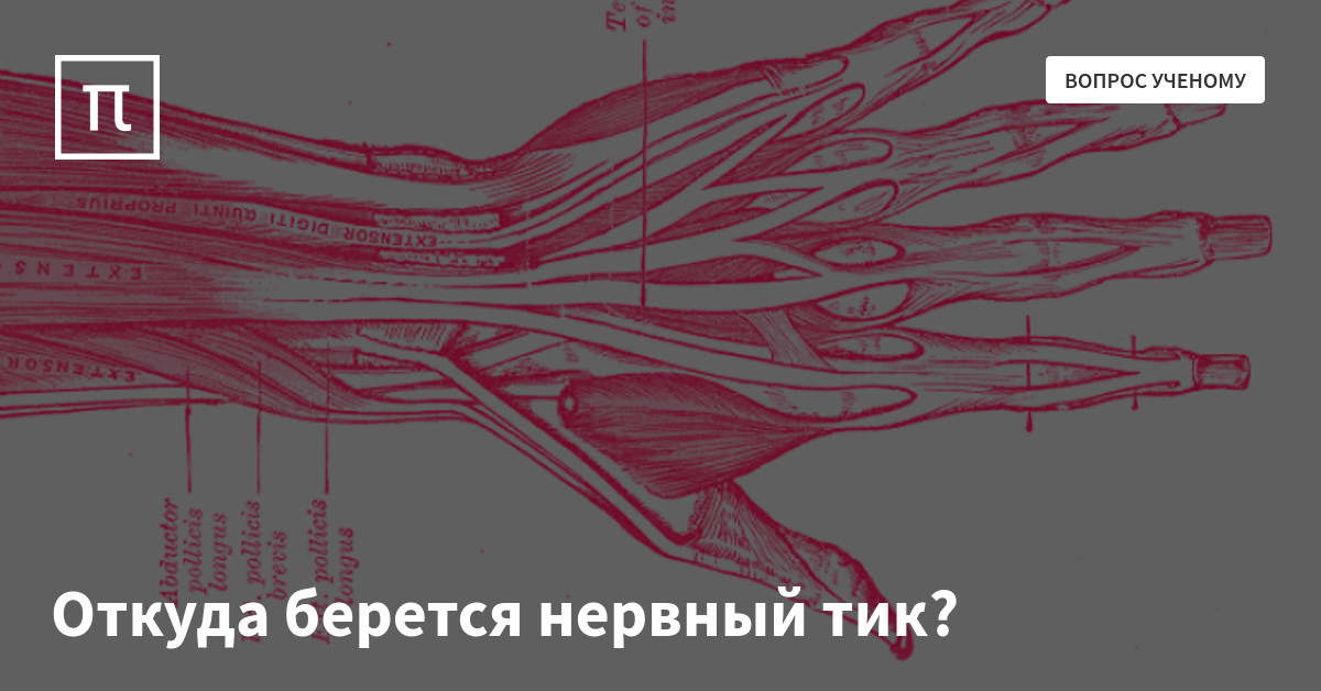 Откуда берется нервный тик? — все самое интересное на ПостНауке