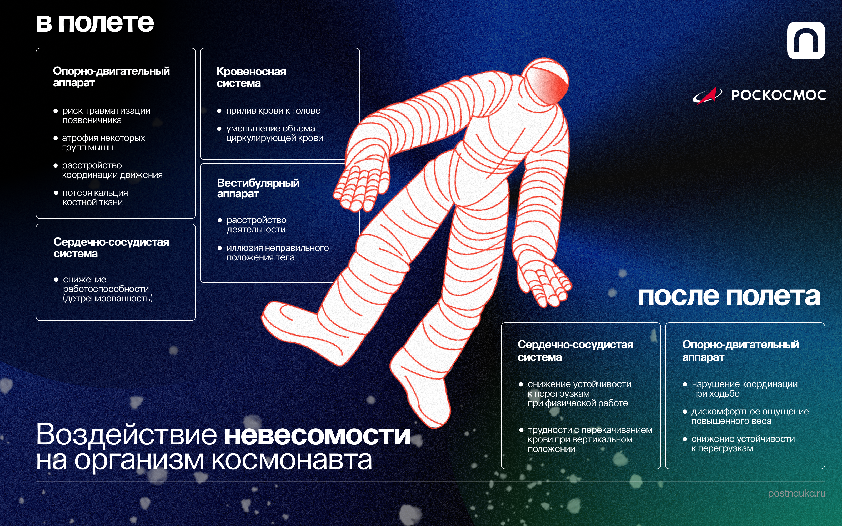 Невесомость сайт