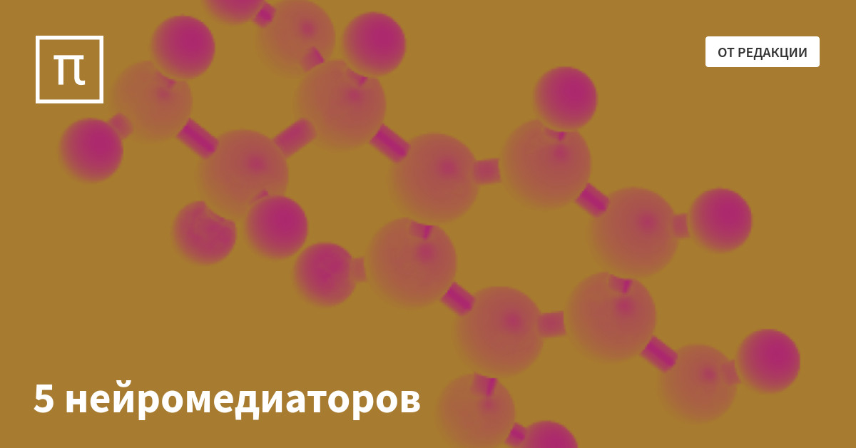 5 нейромедиаторов — все самое интересное на ПостНауке