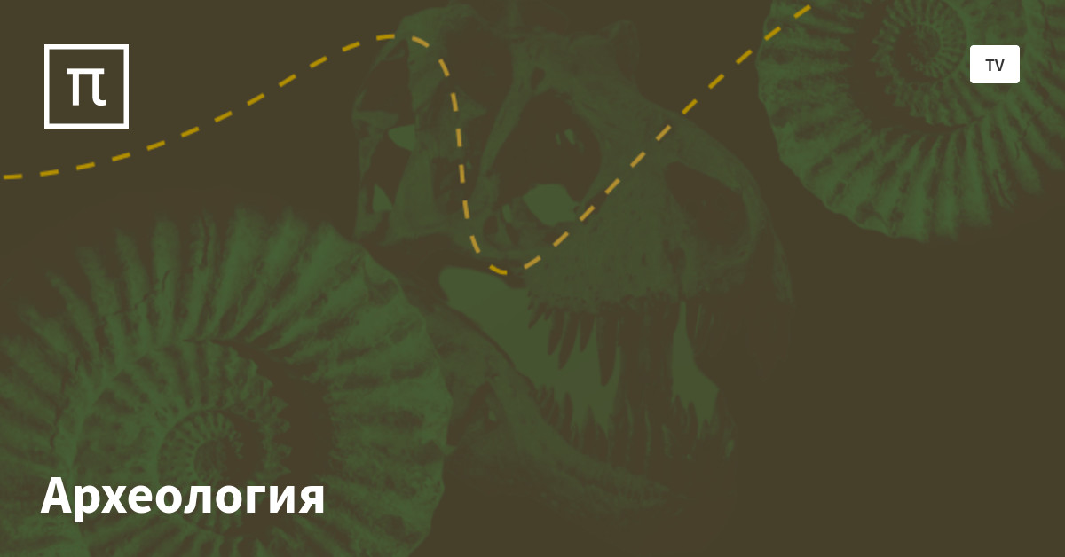 Как устроена современная археология — все самое интересное на ПостНауке