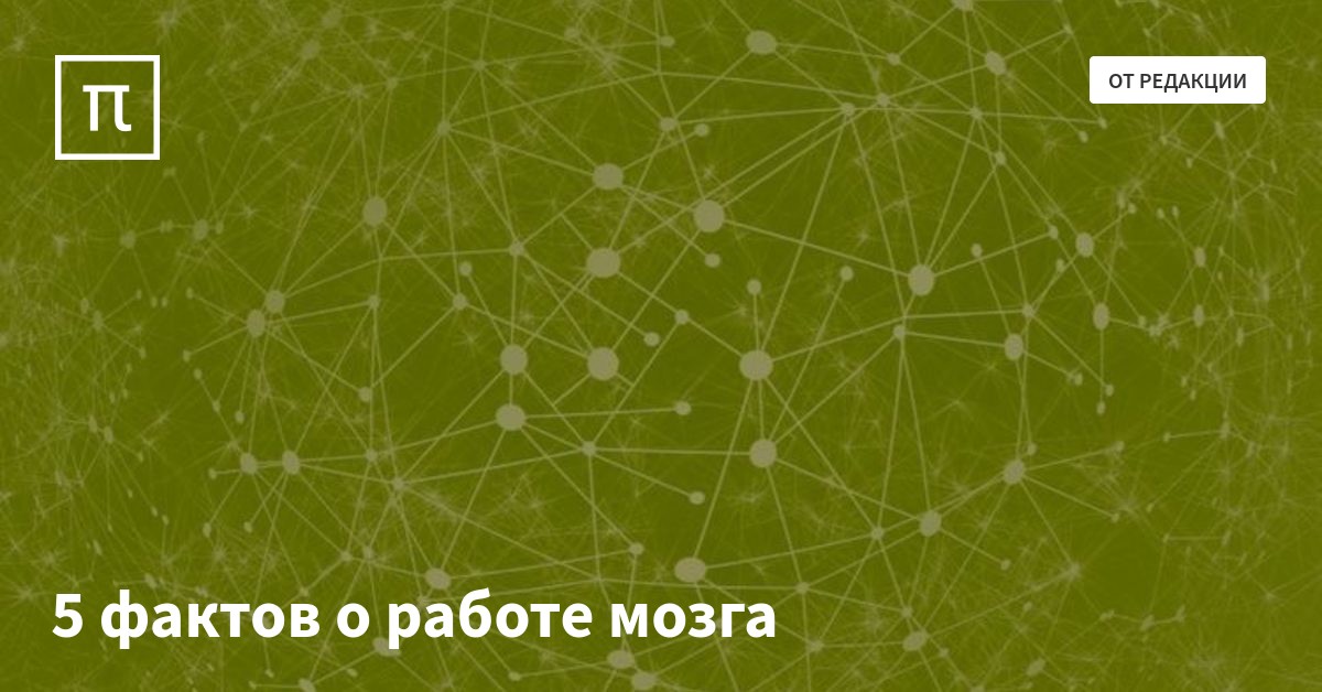 5 фактов о работе мозга — все самое интересное на ПостНауке