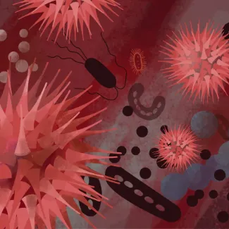 Микроорганизмы и их сообщества