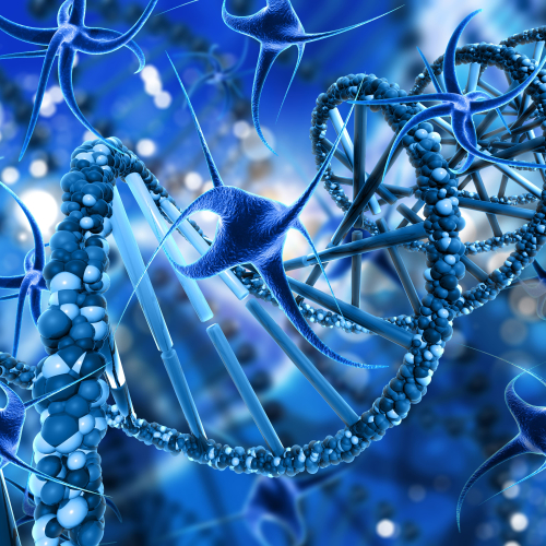 изображение для темы molekulyarnaya-biologiya