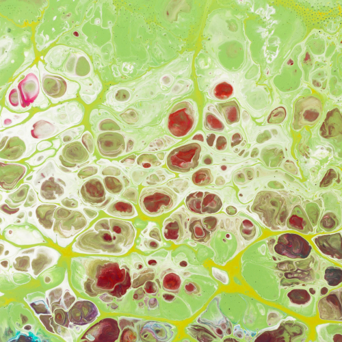 изображение для темы stvolovyie-kletki