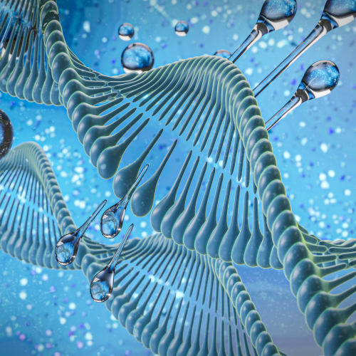 изображение для темы biofizika