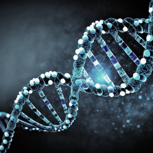 изображение для темы starenie