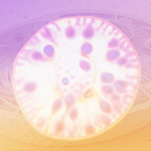 Геном и иммунитет: на пороге биотехнологической революции