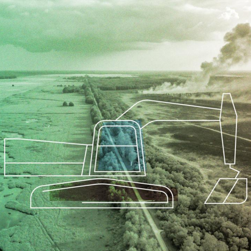 Как болота становились топливом: история освоения и пожаров