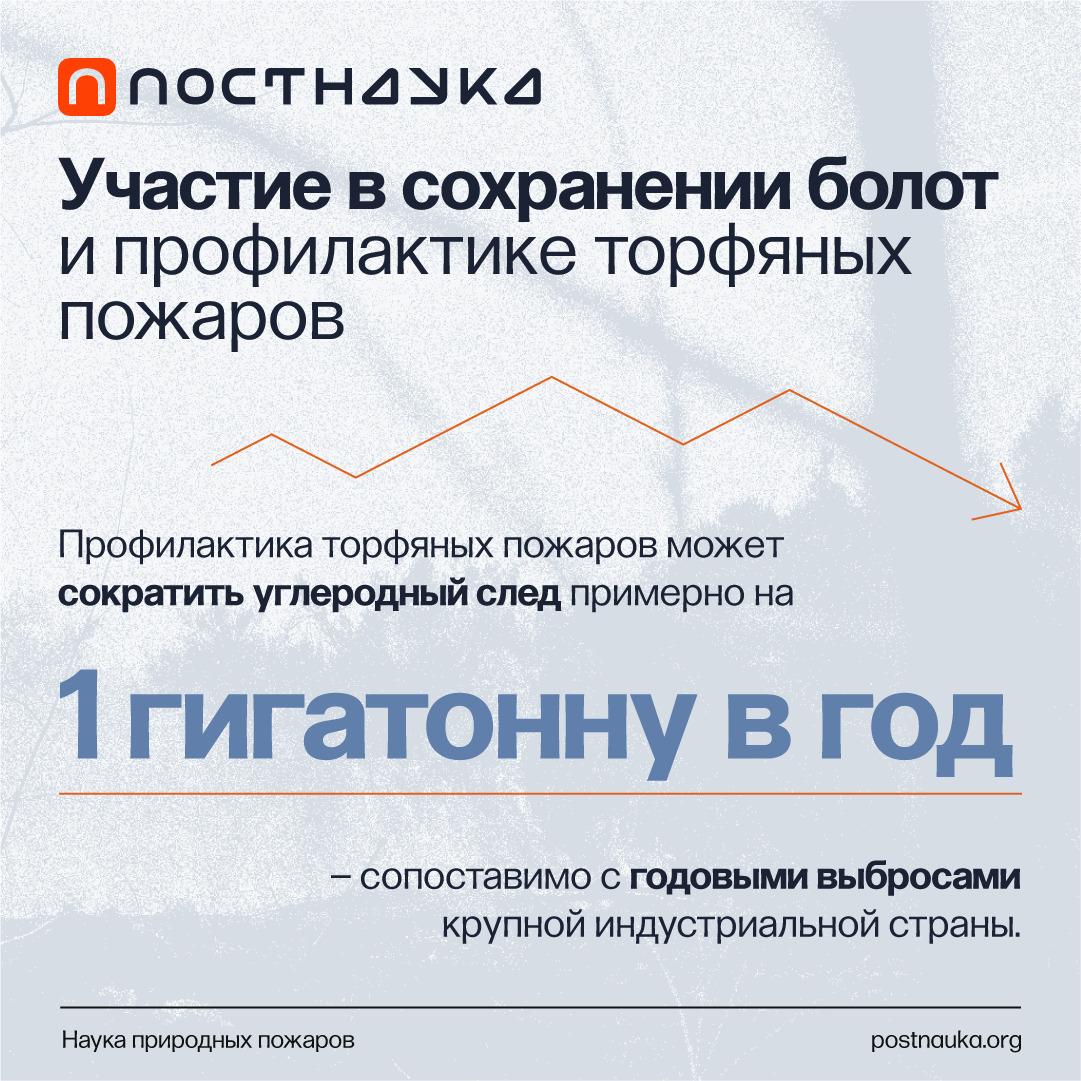 Лонгриды: Как участвовать в спасении болот