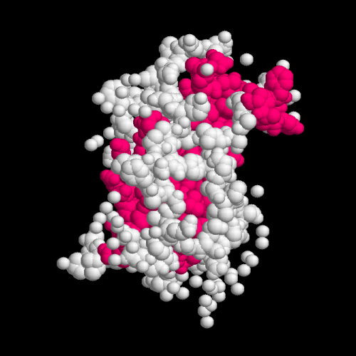 изображение для темы gormonyi