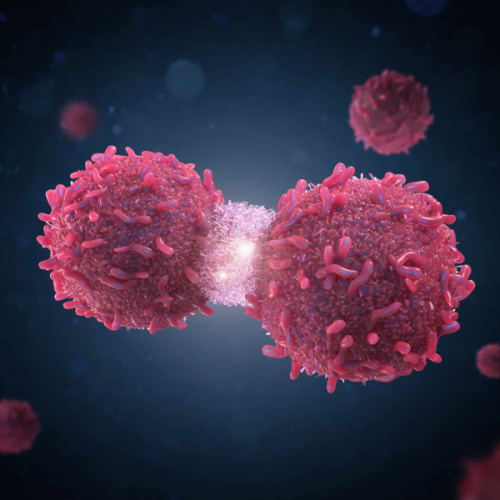 изображение для темы rak