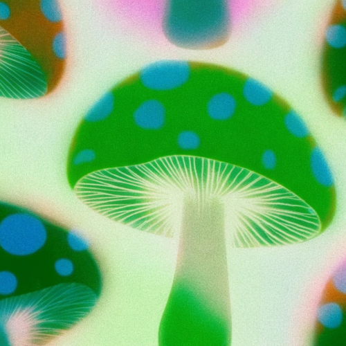 Грибы: между растениями и животными