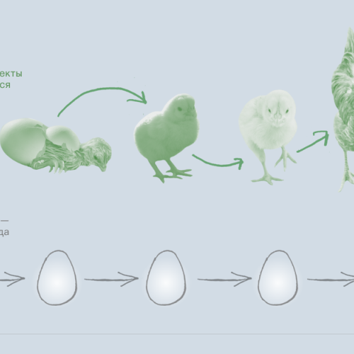 Как идеи управляют хаосом материи?