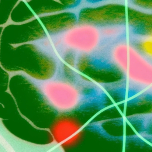 5 фактов о том, почему привычки так трудно менять