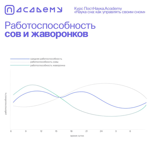 Почему мы делимся на сов и жаворонков?