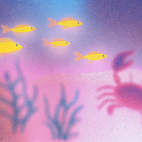 Океан как хранилище данных