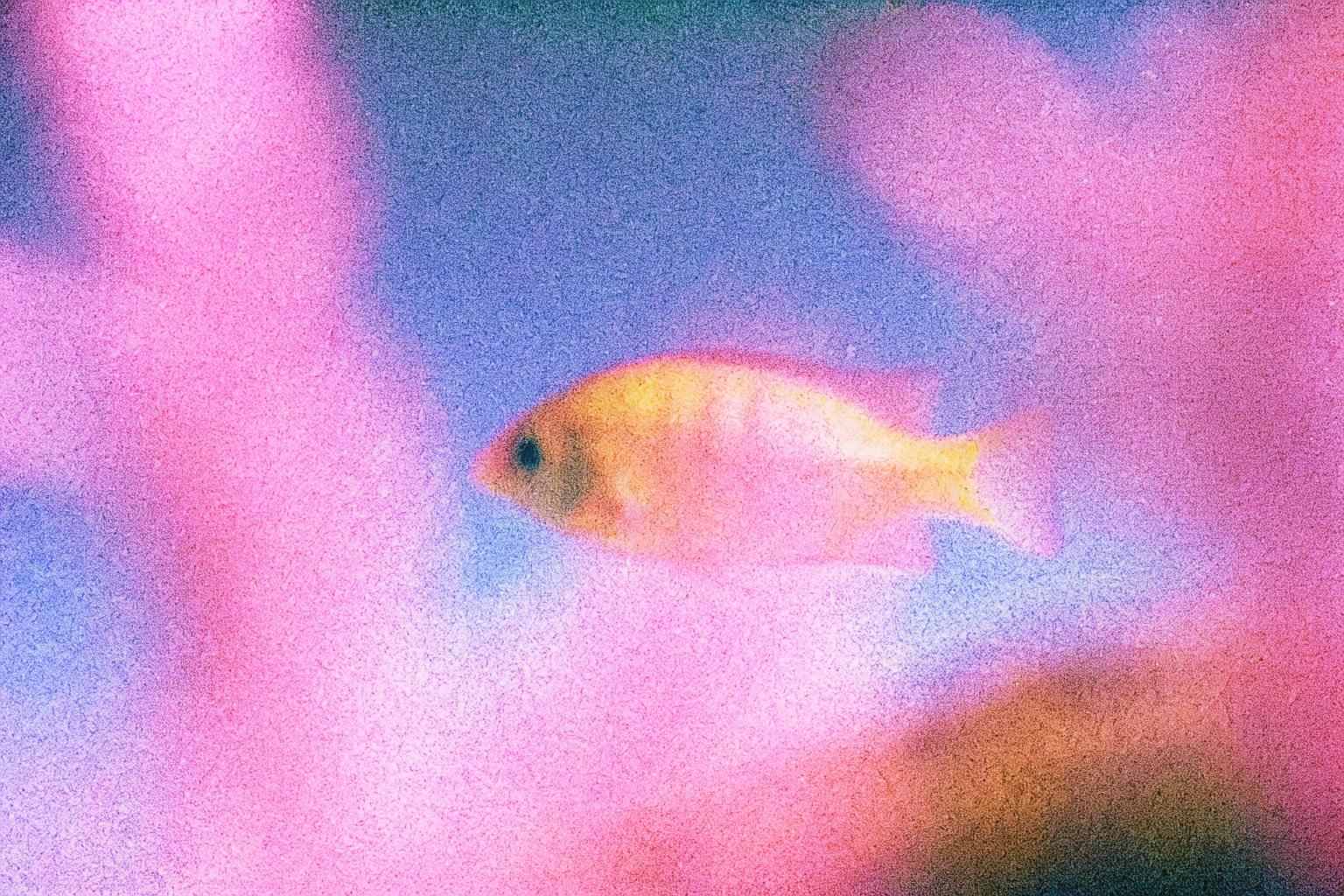 Лонгриды: Океан как хранилище данных