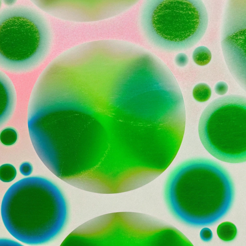 Упорядоченный хаос: как клетка организует сама себя